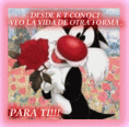 /album/fotogaleria/linda-frase-para-enamorar-e1357241172143-gif/